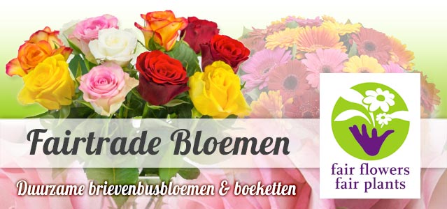 Fairtrade bloemen - Fair Flowers Fair Plants