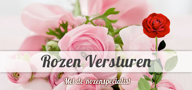 Rozen versturen